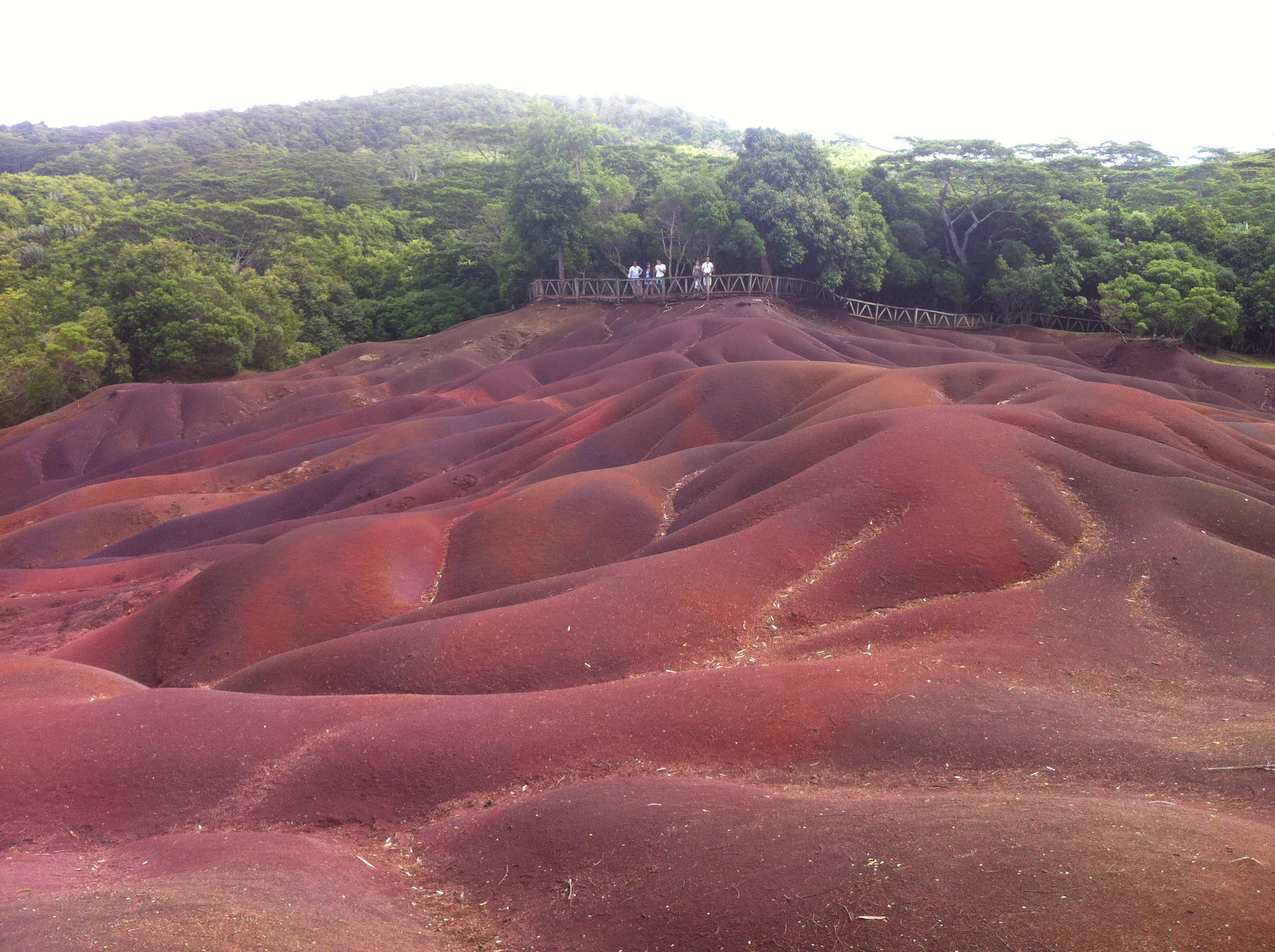 毛里求斯自由行准备,毛里求斯旅游6天5晚