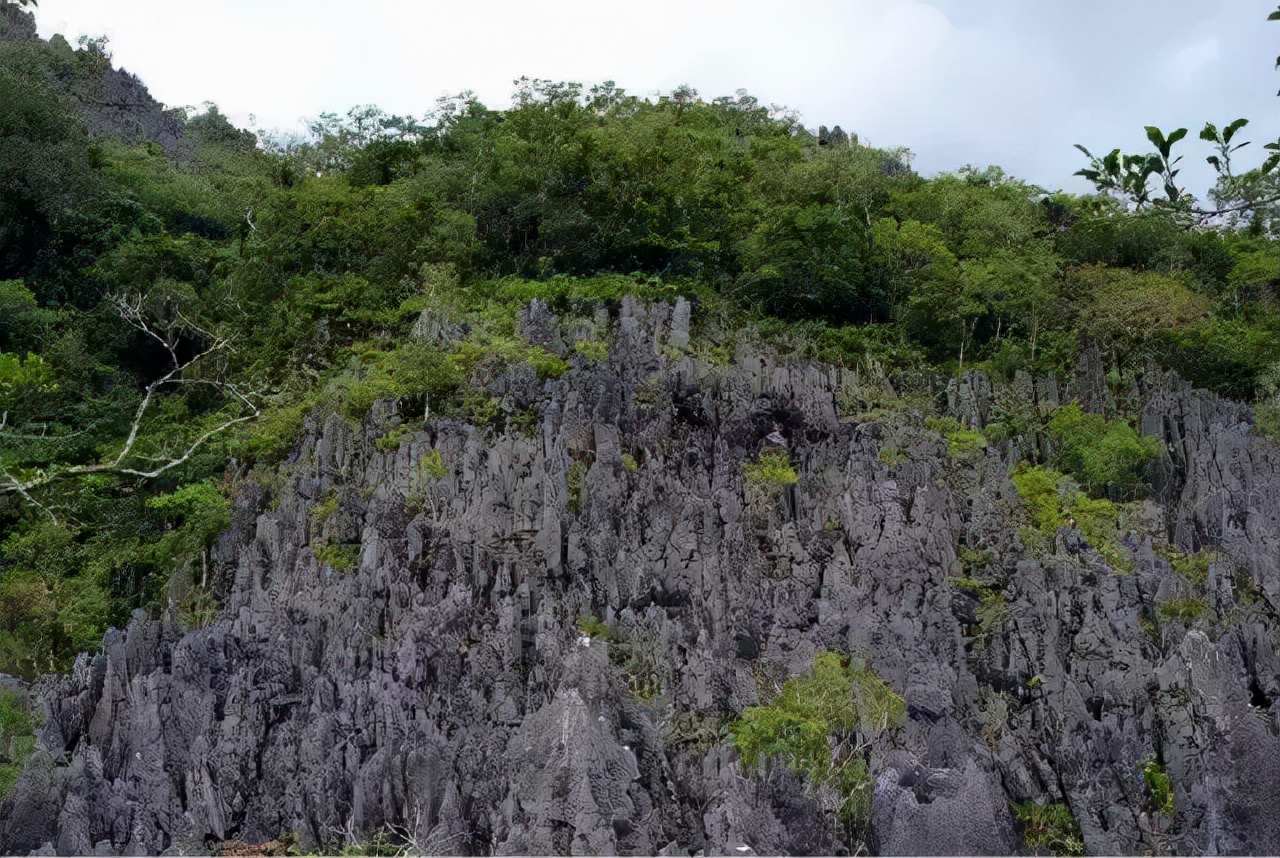北纬18°海南,北纬十八度保亭
