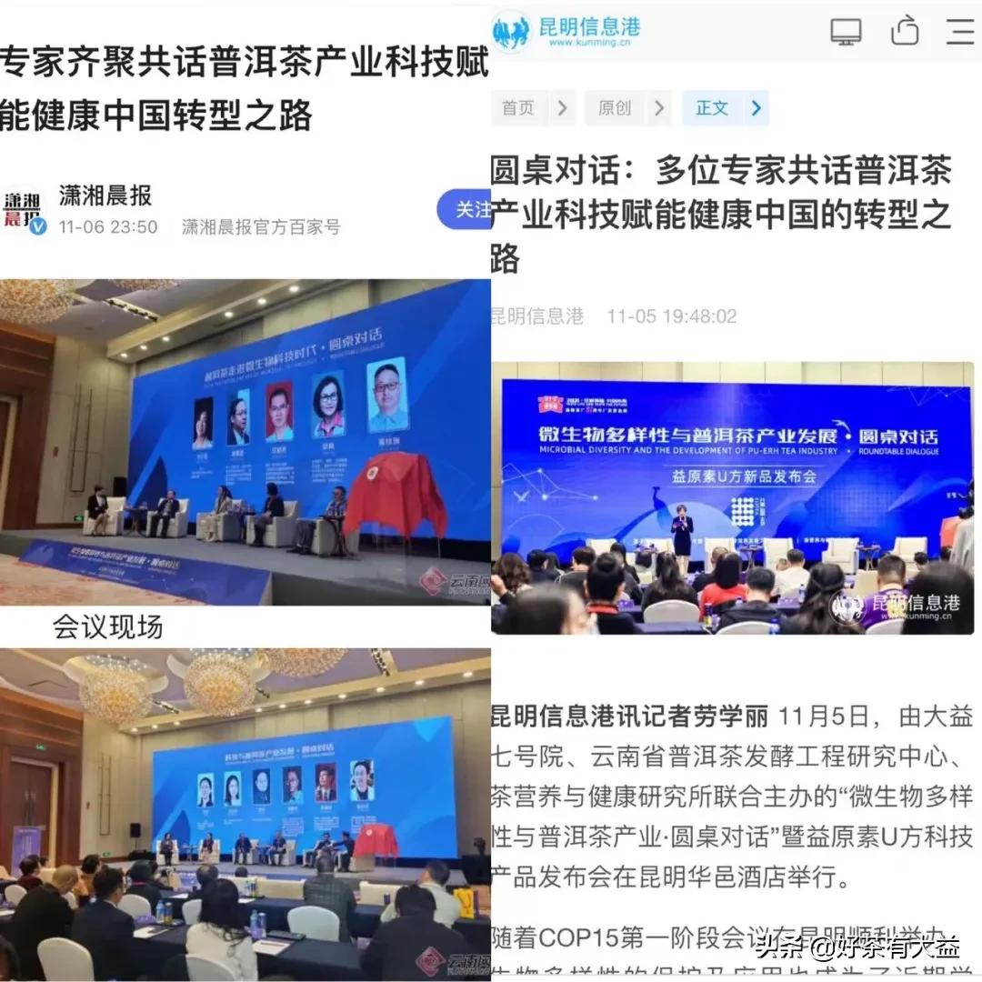 科技赋能未来弘扬创新精神,大益益原素普洱茶饮料