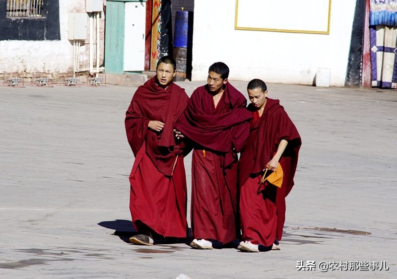 鍒濊鏄岄兘,鍒濋亣瑗胯棌
