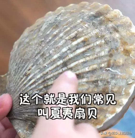烟台海鲜小杂鱼批发,烟台海鲜自提