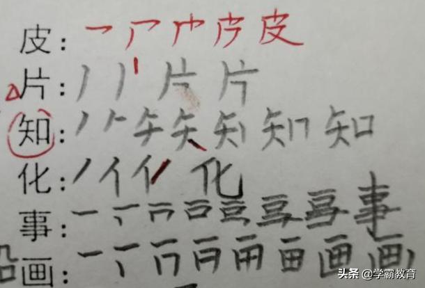 二年级语文生字笔顺要重点教学吗,二年级上册语文易错生字笔画顺序
