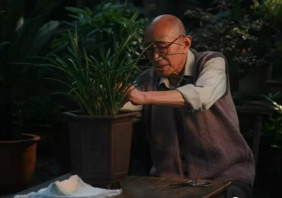 蒋雯丽跟姥爷的故事是真的吗,蒋雯丽和她姥爷的感人故事电影