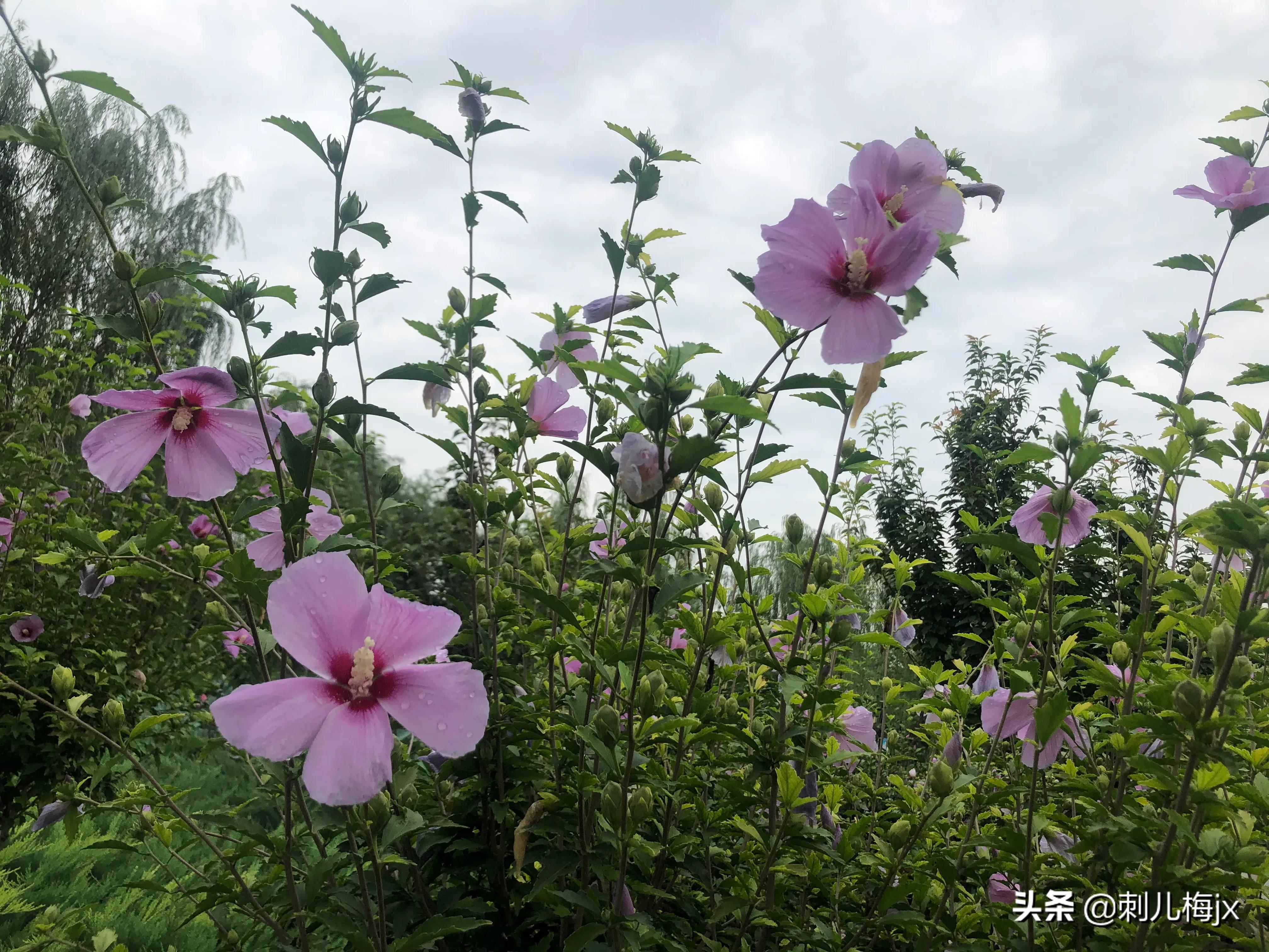 上有老下有小跟别人没关系,上有老下有小有同感的吗