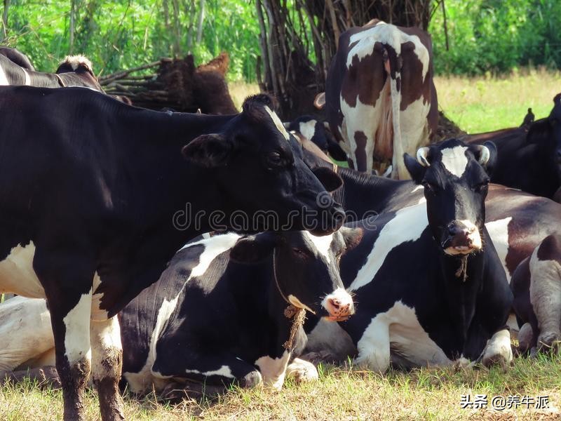 手动排空乳汁每次挤多久,每天奶要排空吗