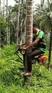 看看这几个工厂机械的动图，看着好像还挺有意思的啊