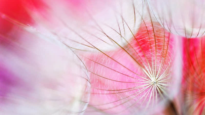 愚人节快乐英文短文,愚人节祝福语简短英文版