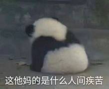 新手怎么学习摄影,从零学摄影视频教程