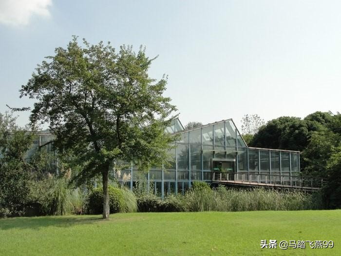 苏州相城区水果采摘园推荐,苏州枇杷樱桃采摘园