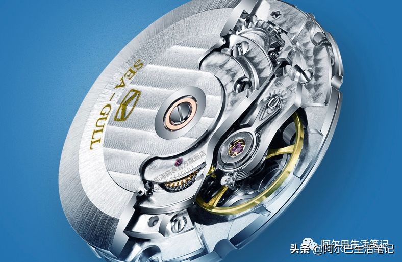 我和我的国产车环球旅行,国产表国货之光