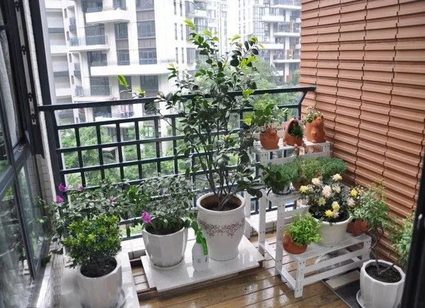 阳台如何维护,阳台怎么保管好看