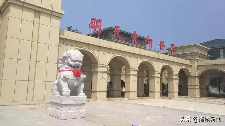 诸城市学校建设,诸城即将建的高中