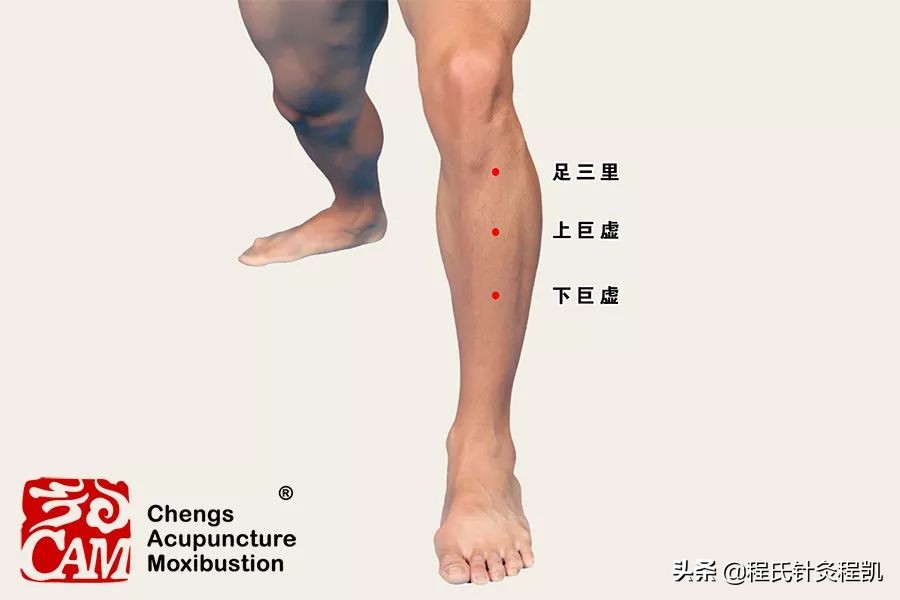 中医证型：脾胃湿热是怎么回事，该如何调理？