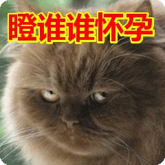 传说中的易孕体质真的存在吗,易孕体质月经推迟几天算正常