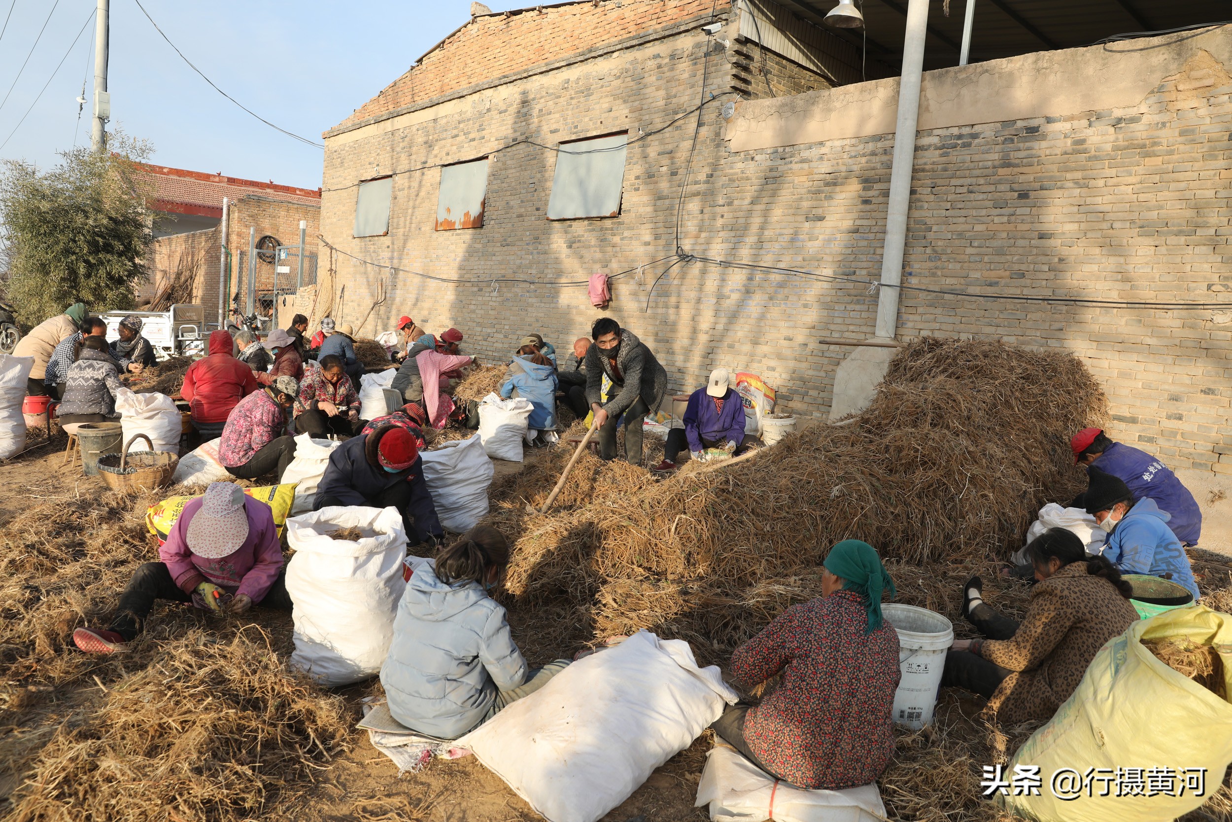 山西1群妇女聚在墙角干无本生意，冠军1天能挣100元，干的啥