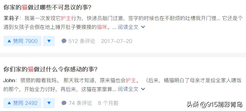 虐猫人士杀死中国留学生案件,虐猫者杀害中国留学生