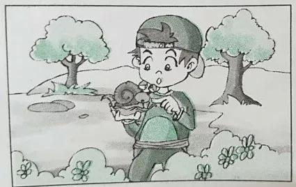 开学看图写话,二年级下册语文看图写话开学