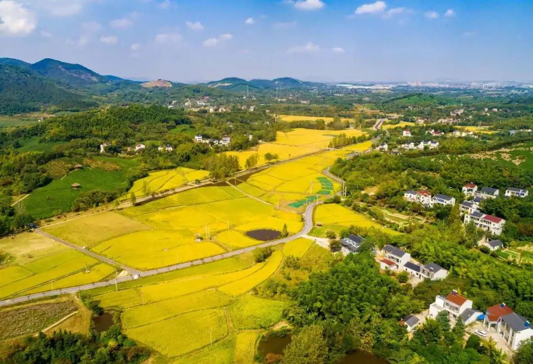 蓝城史诗级田园巨著，或将引领十万武汉人“上山下乡”