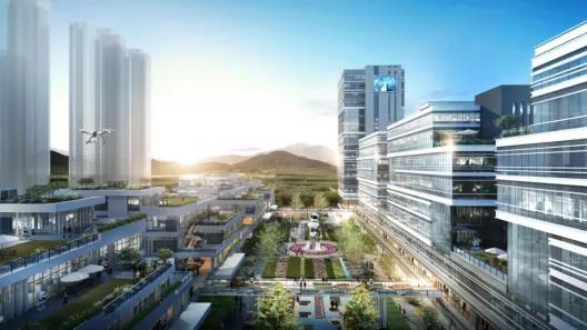 深圳第11区,深圳市第11区