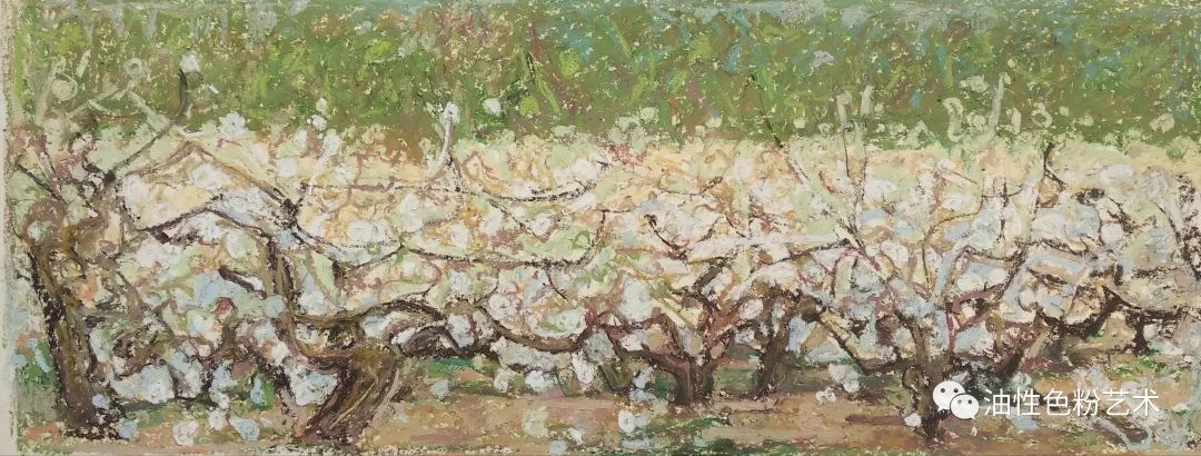 油画棒画苹果和真的一样,油画棒绘画超高级