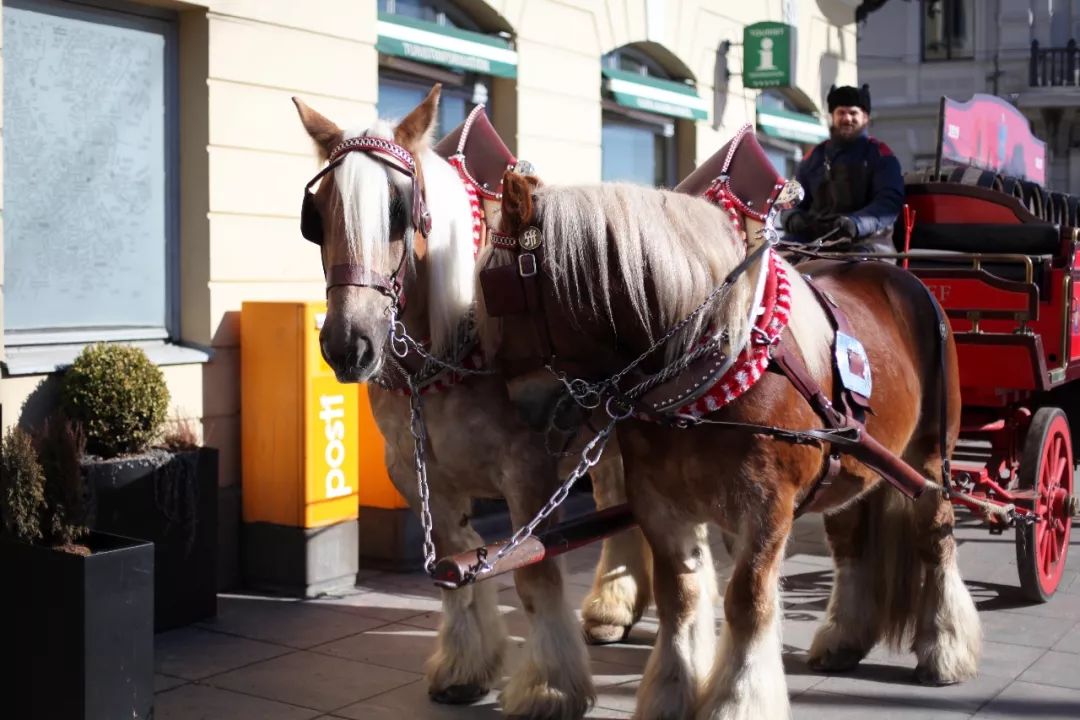 世界上最有幸福感的地方,世界上幸福指数最高的城