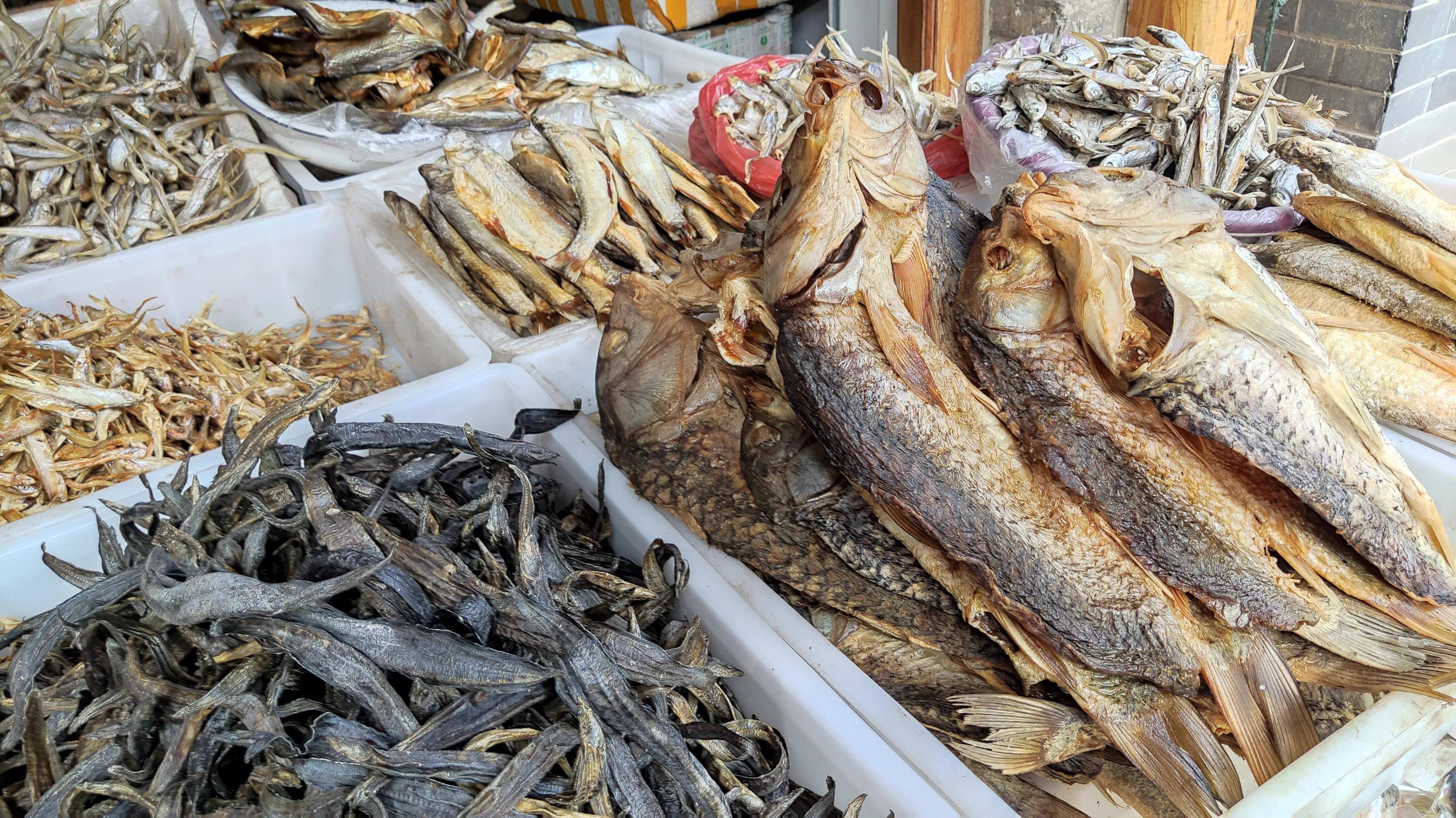 济宁南阳古镇风景区,济宁南阳古镇一日游