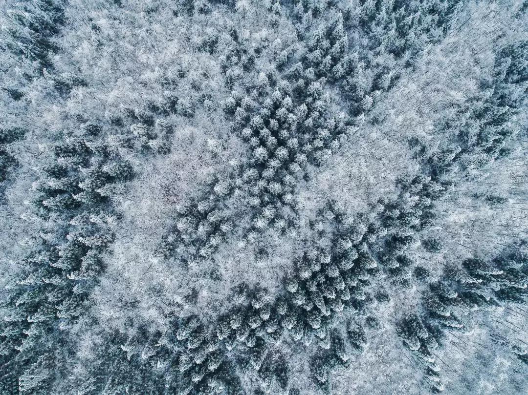 贵阳云雾山云海,贵阳云雾山雾凇旅游攻略