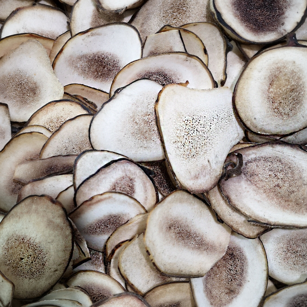 鹿茸片真假的鉴别,真的鹿茸片和假的鹿茸片怎么区分