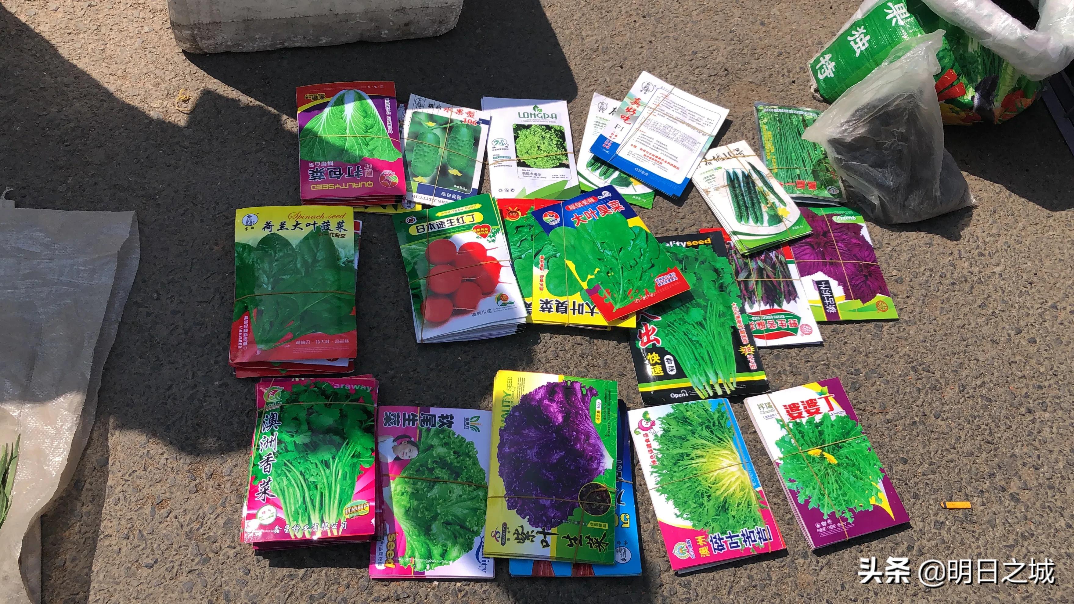 长春早市晚市大集大全2021,长春目前存在的早市