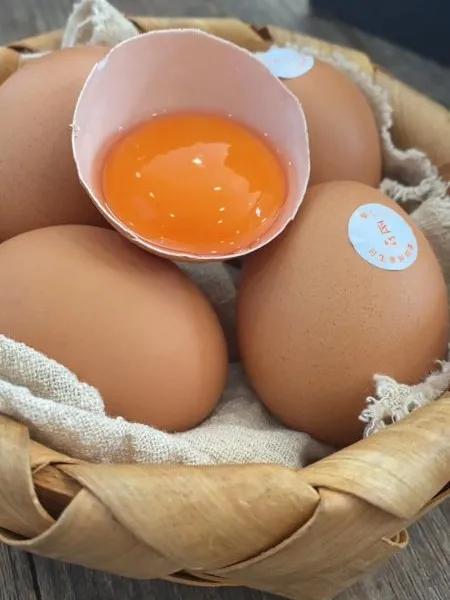 竹哩诸暨优惠券,竹哩日料诸暨店团购