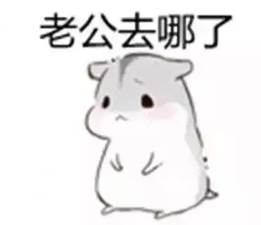 39岁的高圆圆怀孕上热搜？！我只关心高龄产妇生死劫，你都能避开