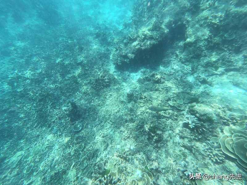 泰国普吉斯米兰跟团浮潜,泰国普吉岛自由潜水皇帝岛