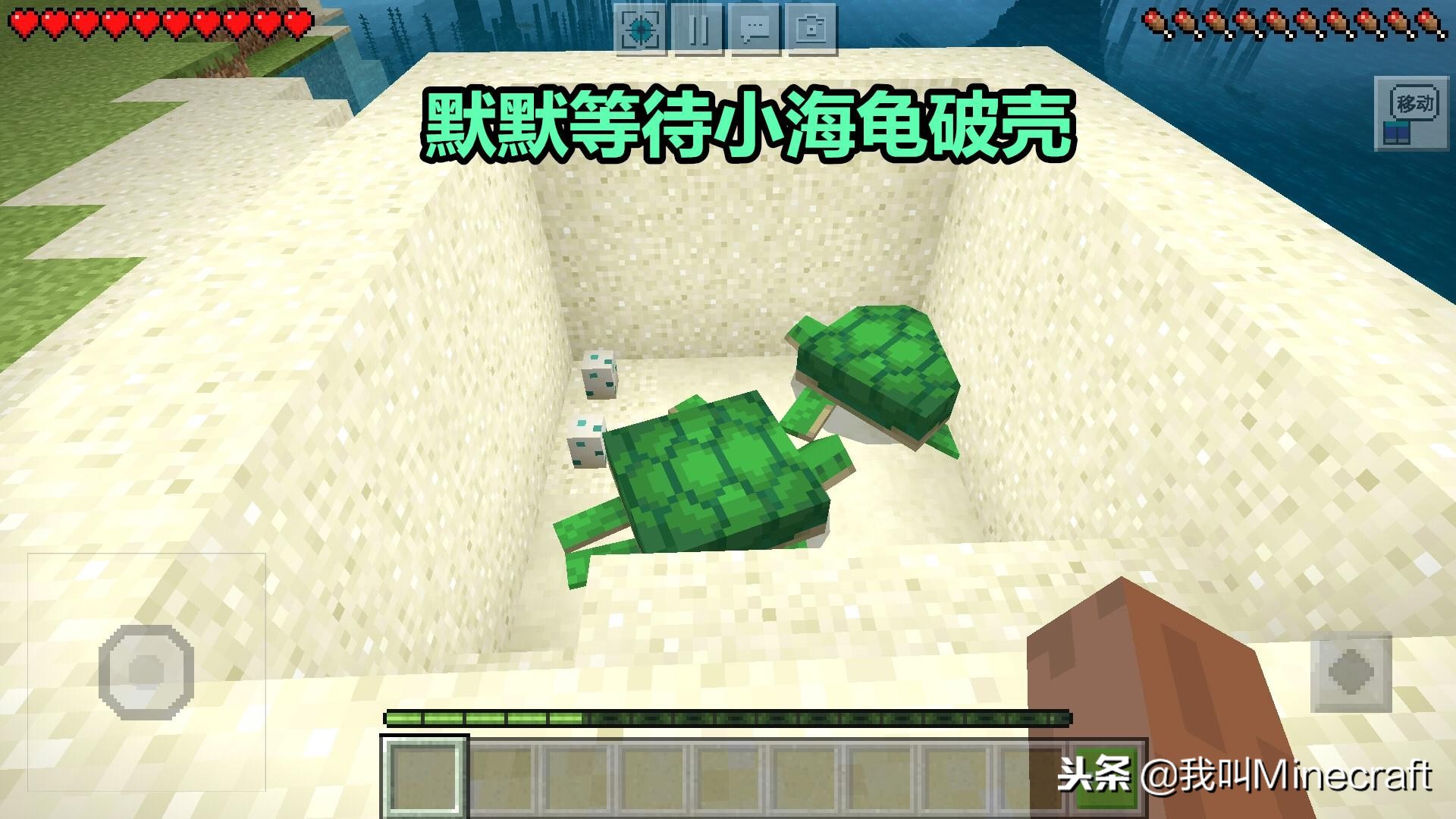 我的世界原版困难模式生存100天,我的世界原版生存第1天