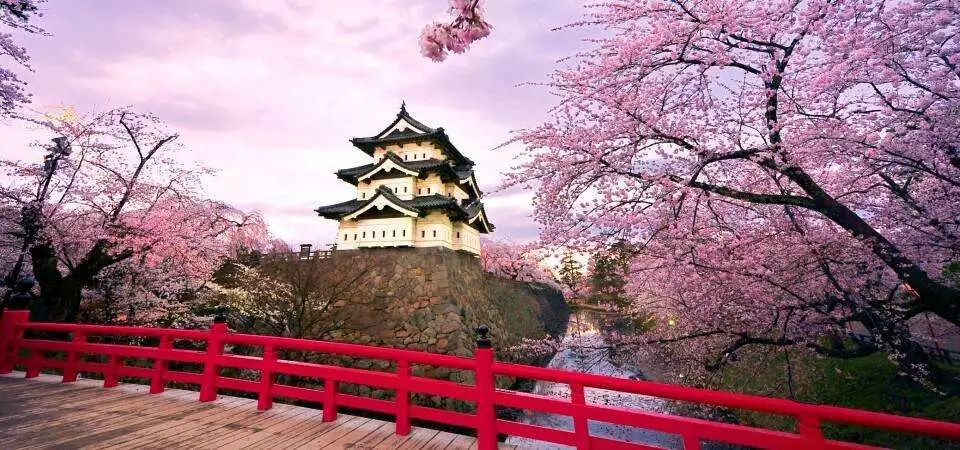 日本赏樱花前三名城市,日本樱花排行榜