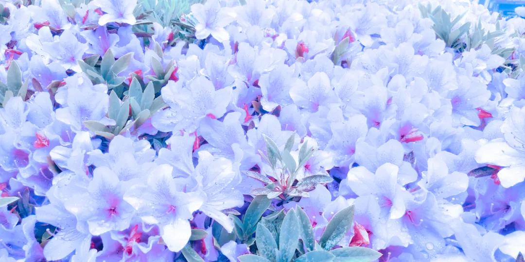 发展为宫颈癌需要哪几个步骤,当得知自己得了宫颈癌