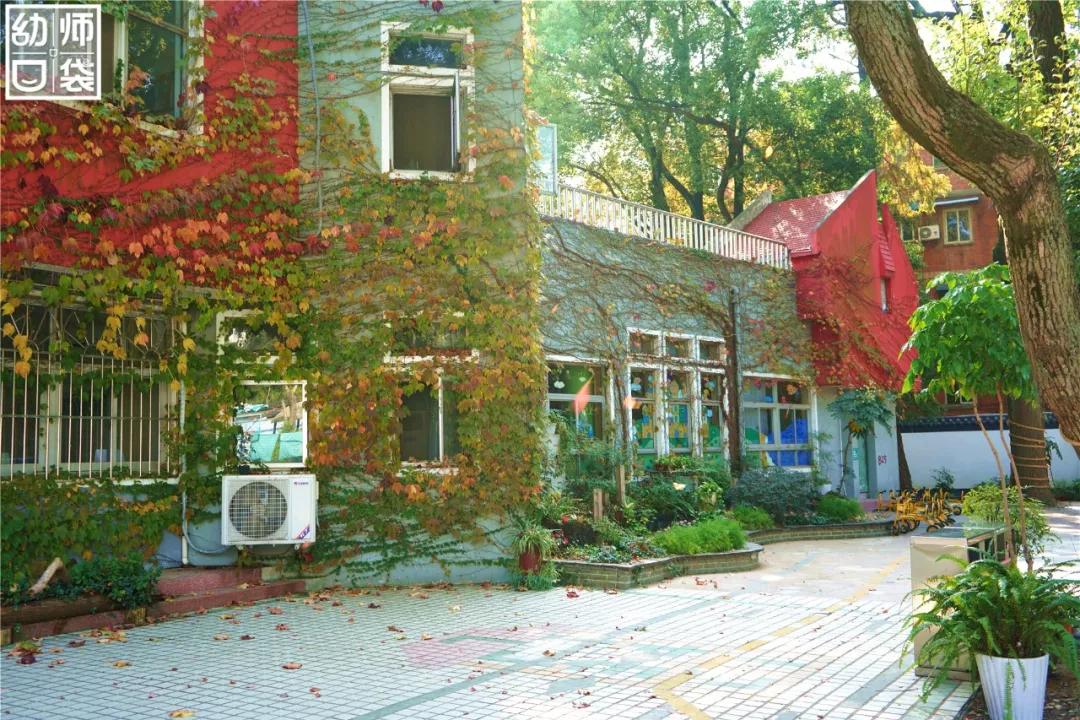 这里有最好的自然、最野的运动、最幸福的老师和孩子丨走进幼儿园