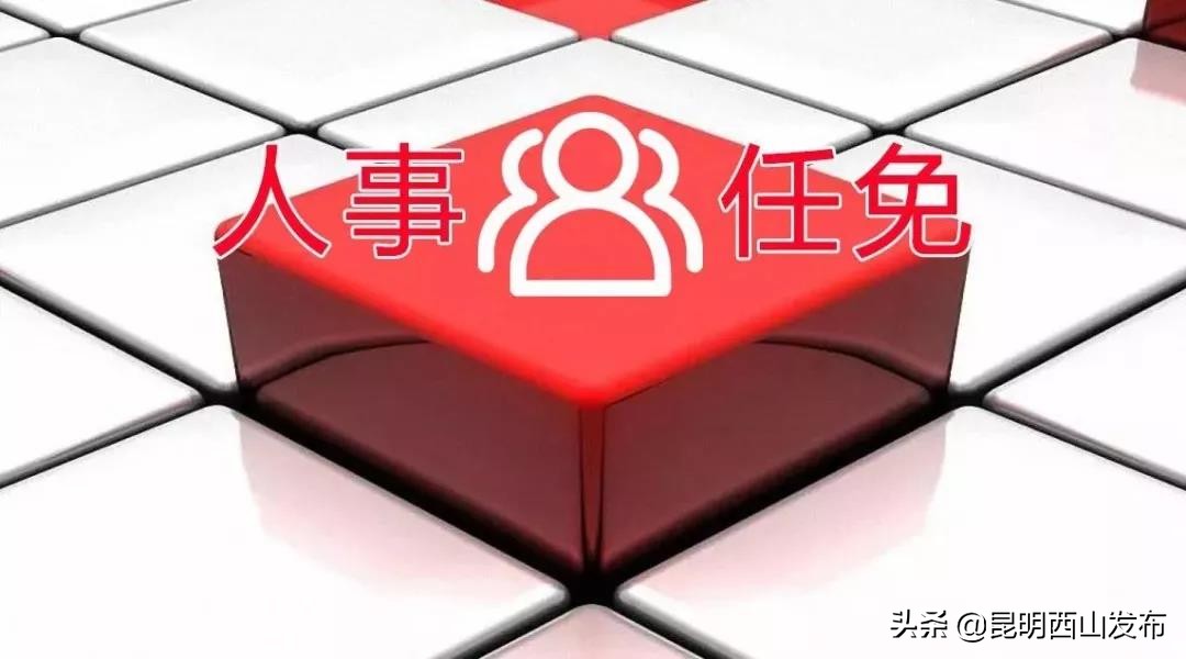 西山区最新干部任免公示,西山区新任命公示