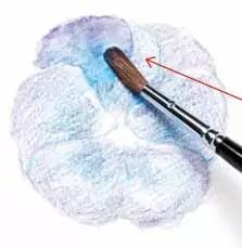 彩铅画云堇教程,三色堇彩铅画图片