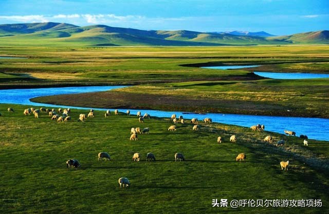 游呼伦贝尔大草原作文游览顺序,呼伦贝尔大草原游览视频