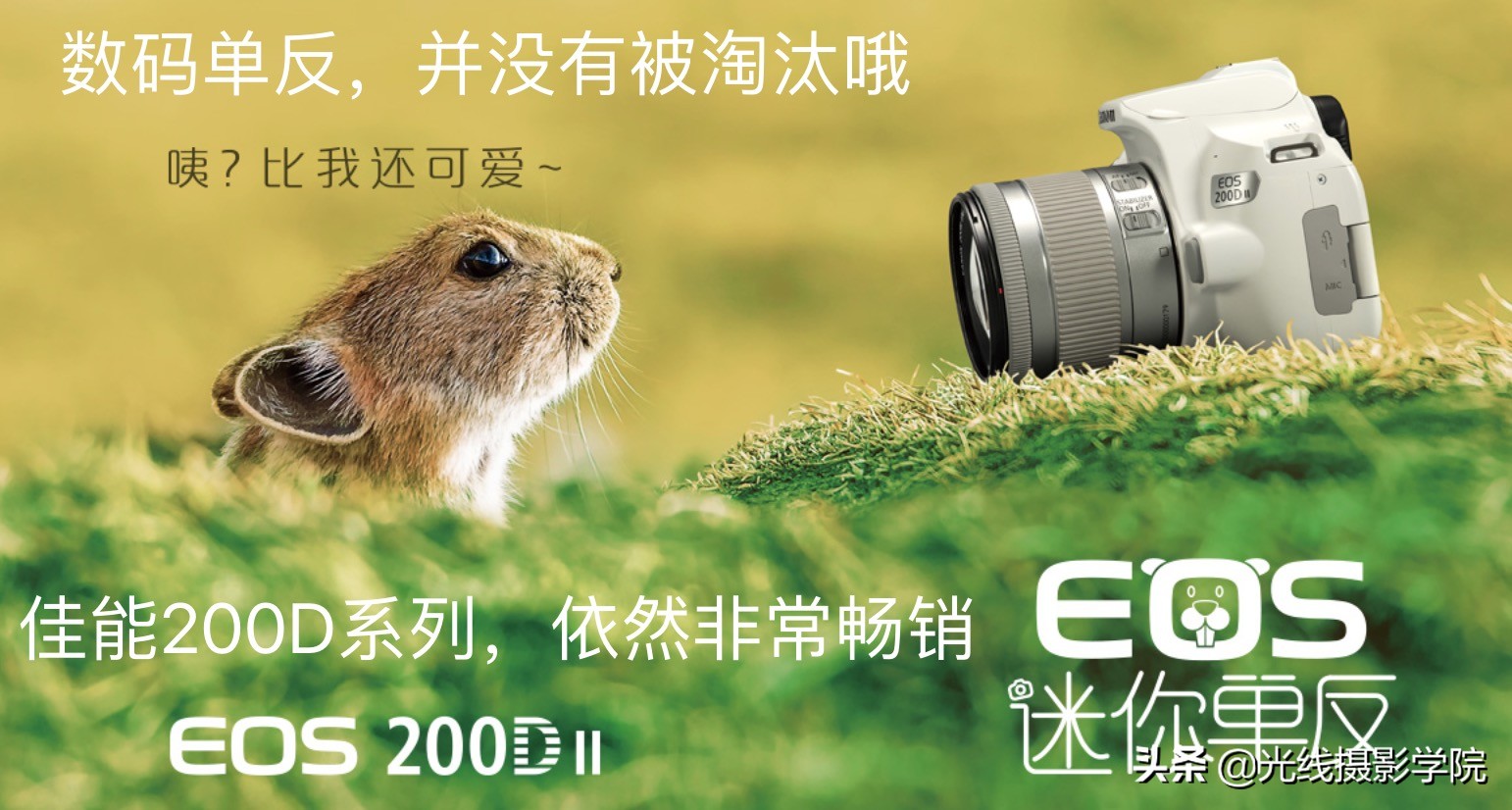 怎么劝退自己买相机,数码相机怎么淘汰