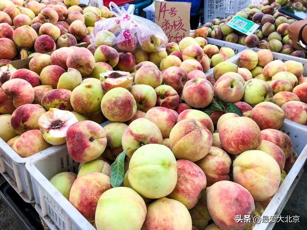 最便宜的早市品种,北方早市有哪些品种