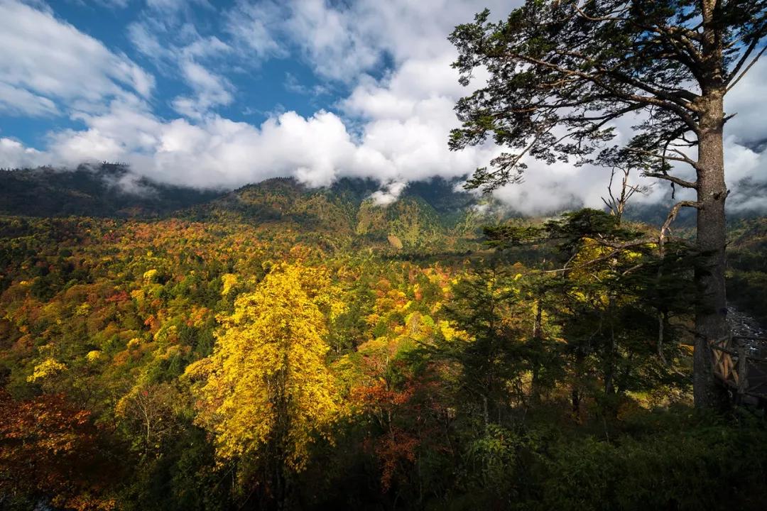 雅安旅行攻略亲子游,雅安市旅行攻略自由行路线