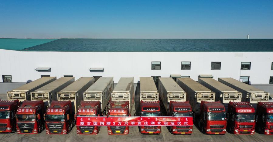 蒙古30000只羊动图,蒙古的3万只羊现在怎么样了