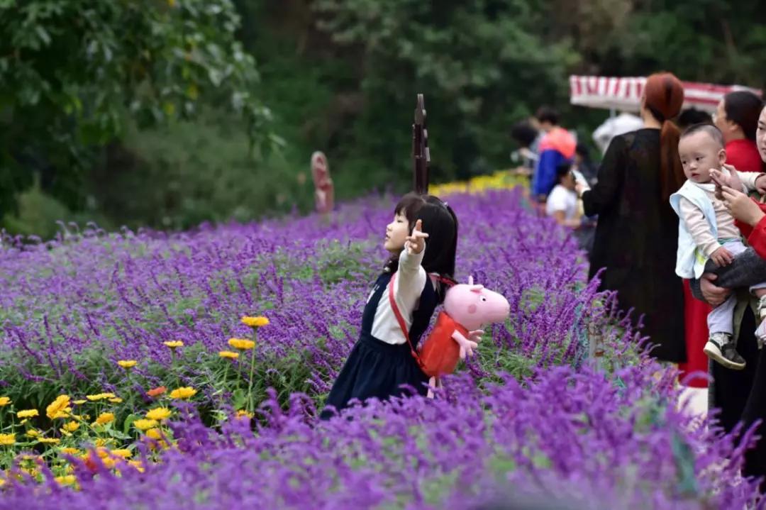 联合推送丨绿心乐心，人人关心——部门网友话绿心