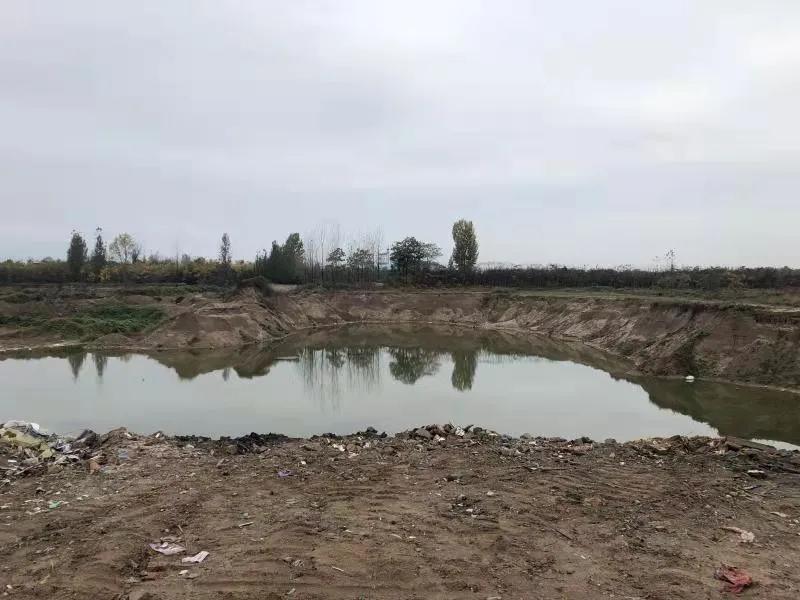 【周检·“我为群众办实事”】强担当、勇作为，推进“我为群众办实事”落细落实