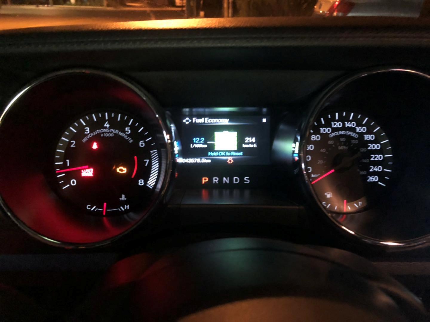 野马还是野驴,野马2.3t小野驴