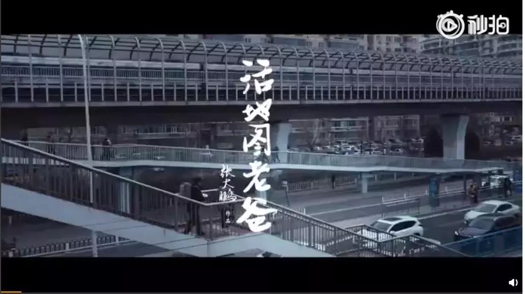 啥是佩奇导演剪辑版,佩奇导演再引共鸣