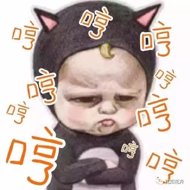 鲜花为什么最爱这一口！｜花呆子的荷兰鲜花游记（二）