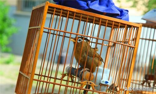 十首顶级哲理诗词名句,经典诗句励志古诗句