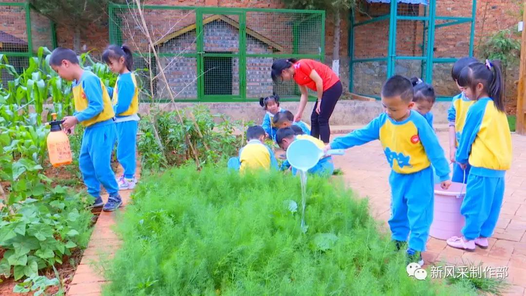 泸西县白水镇代代红幼儿园价格,泸西白水镇代代红幼儿园电话号码